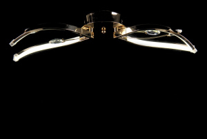 Світлодіодна люстра L1097/2-20W LED (FG)