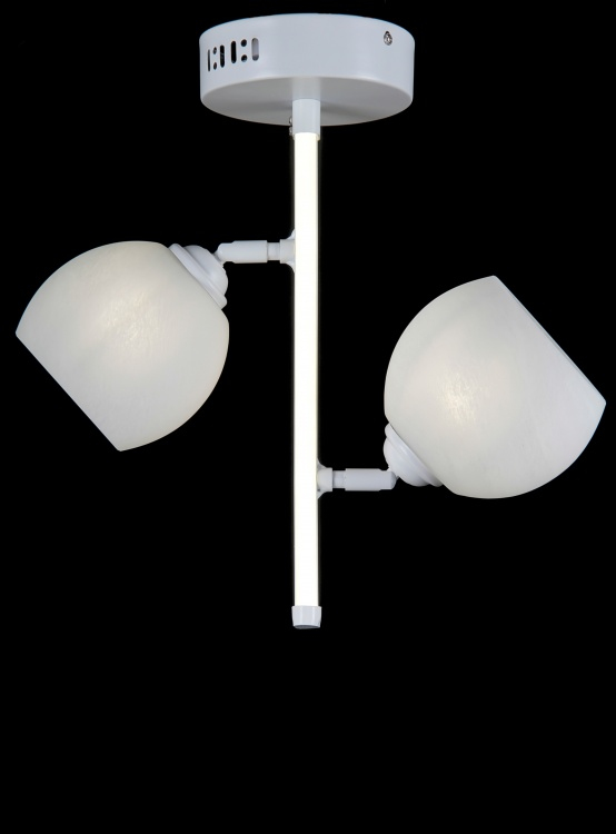 Люстра з плафонами L05215/2 (White) Люстра з плафонами L05215/2 (White)