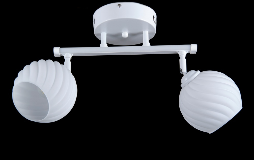 Люстра з плафонами  L05204/2 (White)