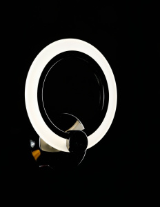 Світлодіодна бра BK235/1 LED (ZBK)