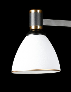 Люстра с плафонами  LGH50230A/5 (BK+FG)