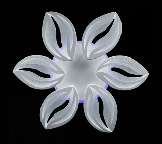 Світлодіодна люстра LK23/6 LED (white)